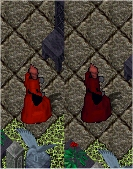 The Two Uniform Designs