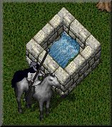 The Spring of Knowledge on June 21, 1998
